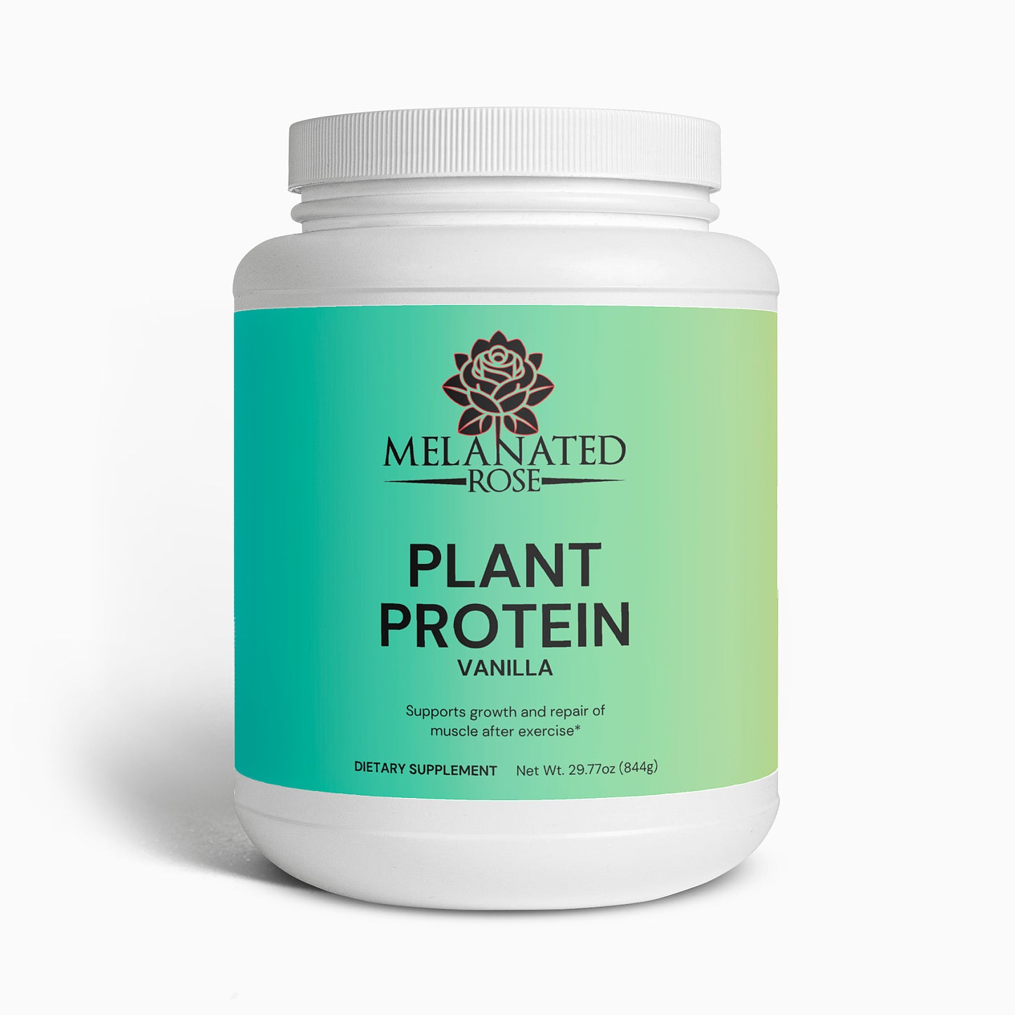 Plant Protein (Vanilla)