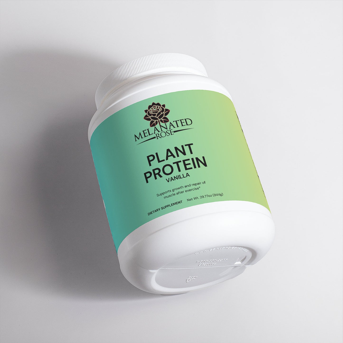 Plant Protein (Vanilla)